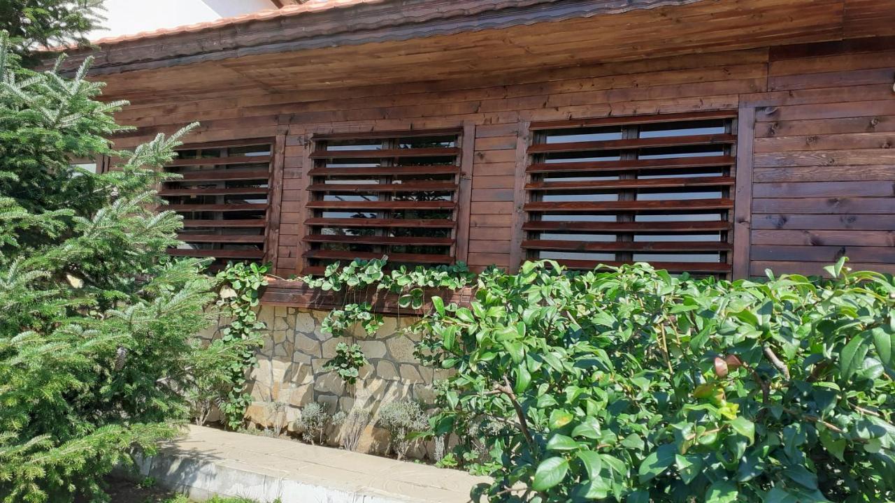 Guesthouse Dida Sapareva Banya Ngoại thất bức ảnh